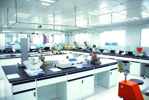 发挥中轻集团检验检测综合服务优势，以科技中介服务赋能行业高质量发展