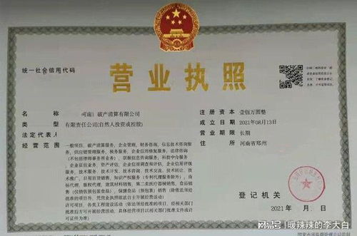 立足中原，布局未来 如何高效注册河南破产清算、郑州不良资产处置与科技中介服务公司