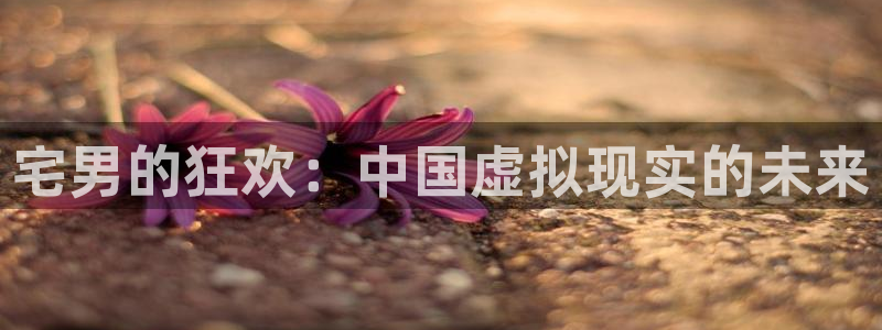 南瓜瓜：宅男的狂欢：中国虚拟现实的未来