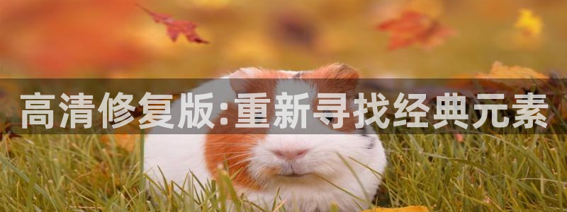 南瓜电影线上看：高清修复版:重新寻找经典元素