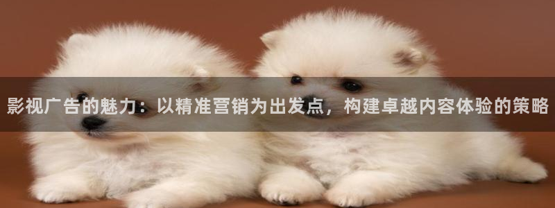 南瓜影院电视剧电影：影视广告的魅力：以精准营销为出发点，构建卓越内容体验的策略