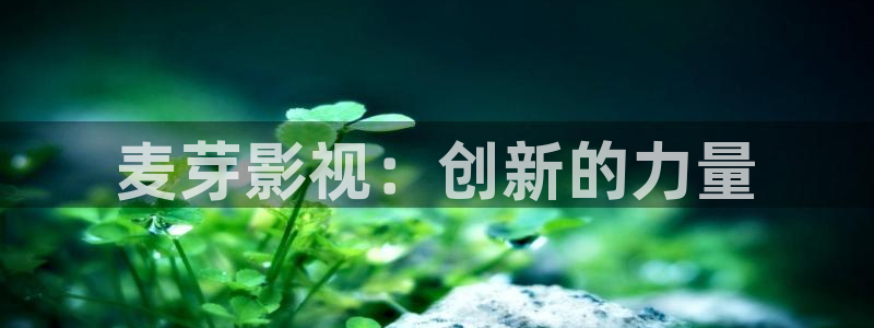 南瓜影视ios：麦芽影视：创新的力量