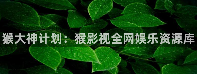 蜜本南瓜云南：猴大神计划：猴影视全网娱乐资源库